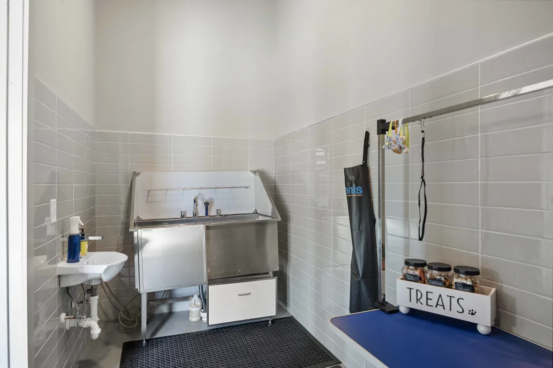 Communal pet washing station with stainless steel tub, sink, grooming area, and treats on a blue table.