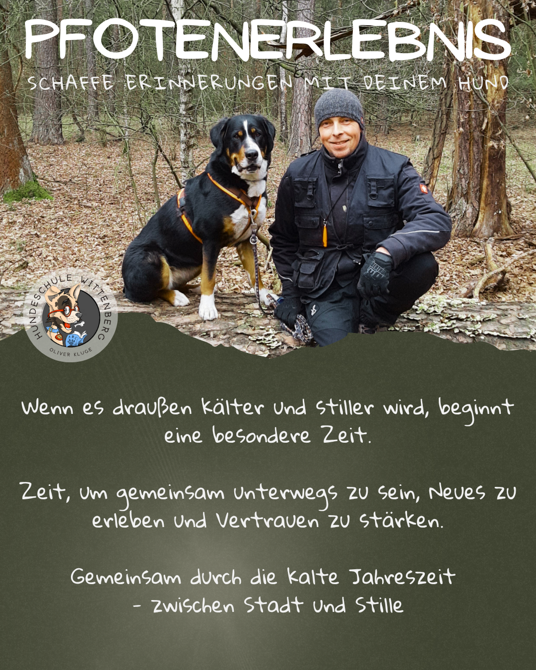 Eine Gruppe Leute geht mit ihren Hunden während des Social-Walk einen Weg entlang.