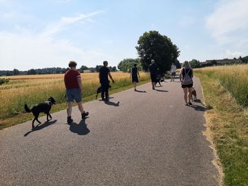 offene Gruppen Eine Gruppe Leute geht mit ihren Hunden einen Weg entlang.