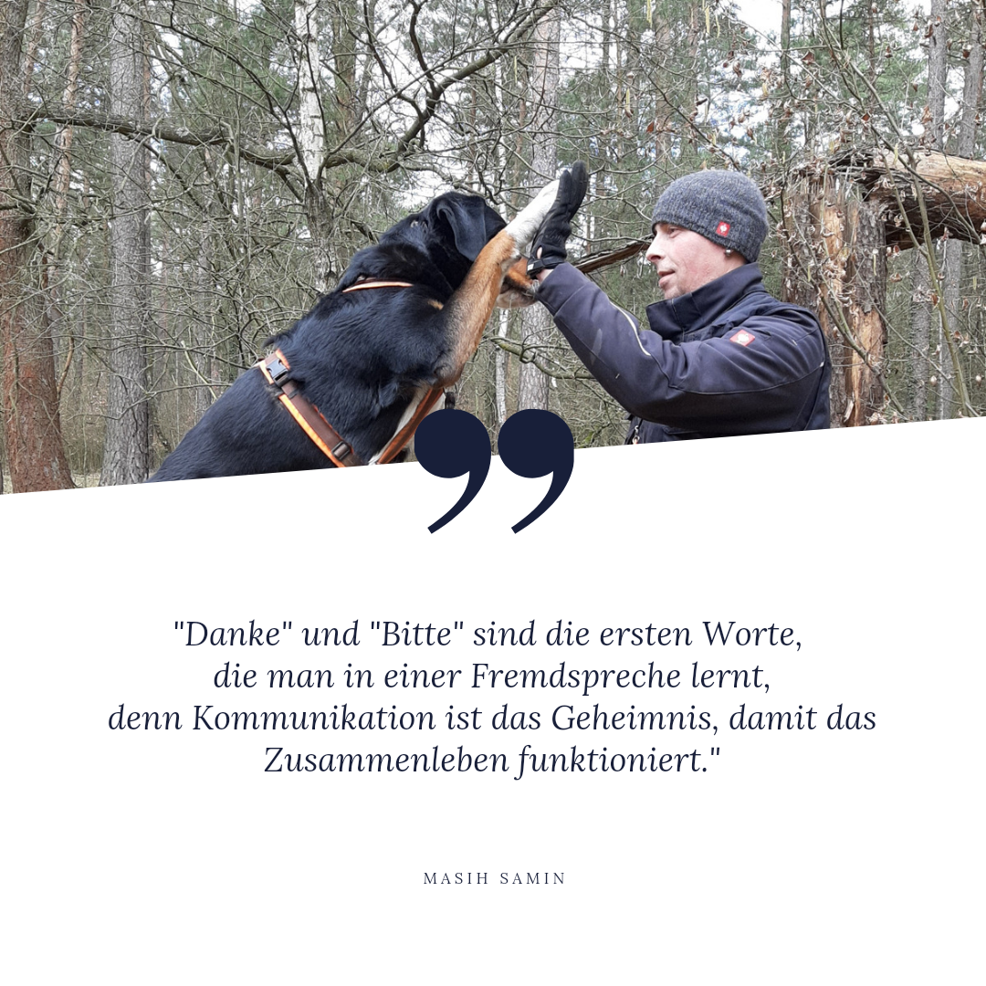 Ein Mann spielt im Wald mit einem schwarzen Hund.