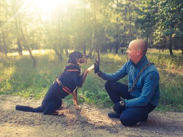 Einzeltraining & Blöcke Oliver Kluge kniet neben seinem Hund Elli und gibt ihr ein High Five.