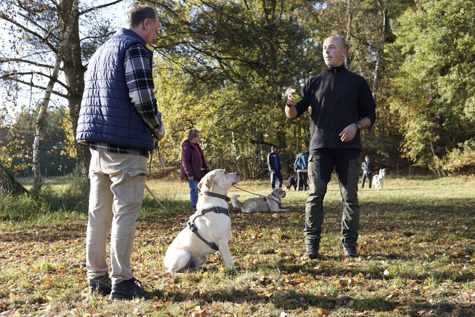 Ein Mann steht neben einem Hund auf einem Feld.