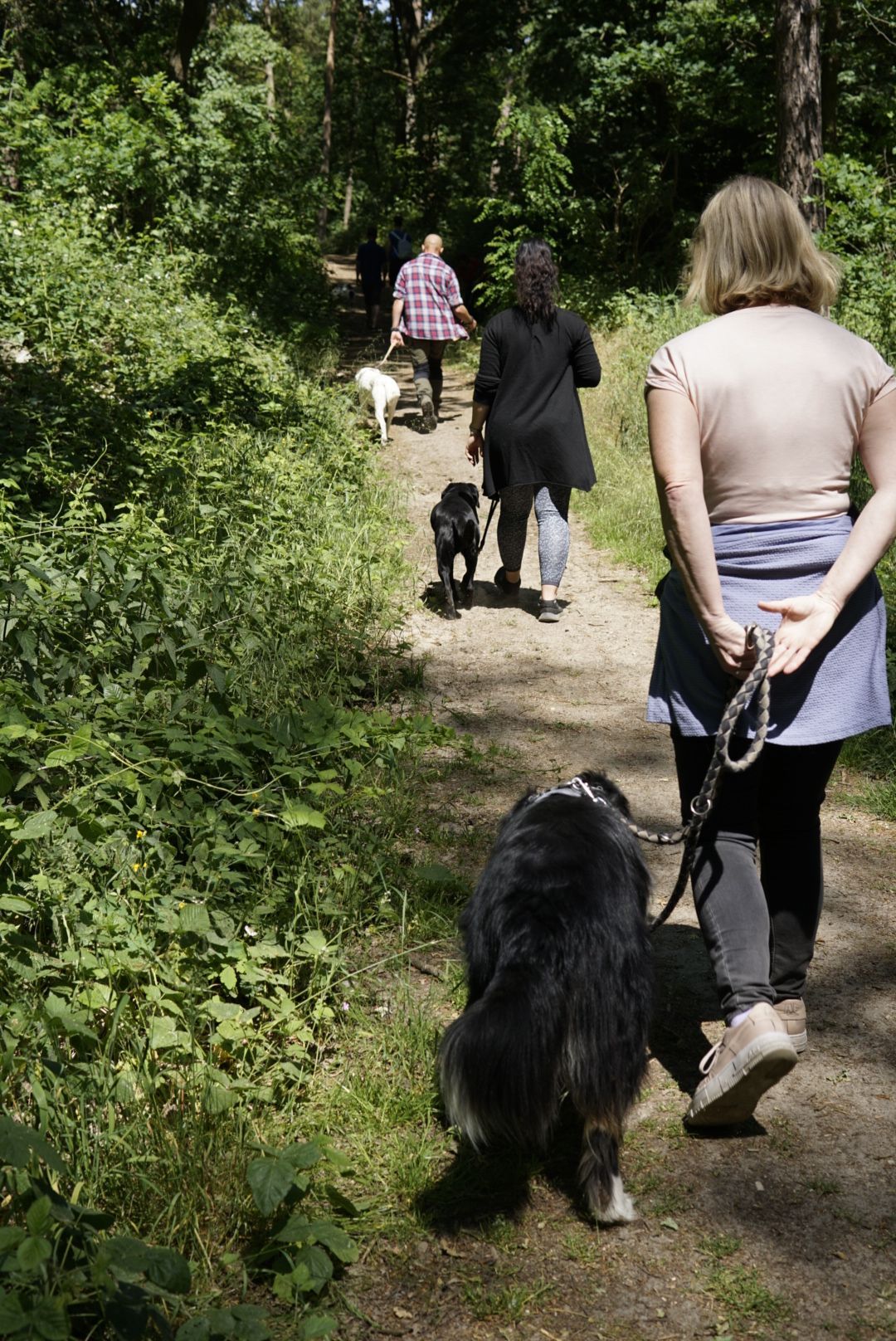 Zwei Mensch-Hund-Teams nehmen am Kurs 