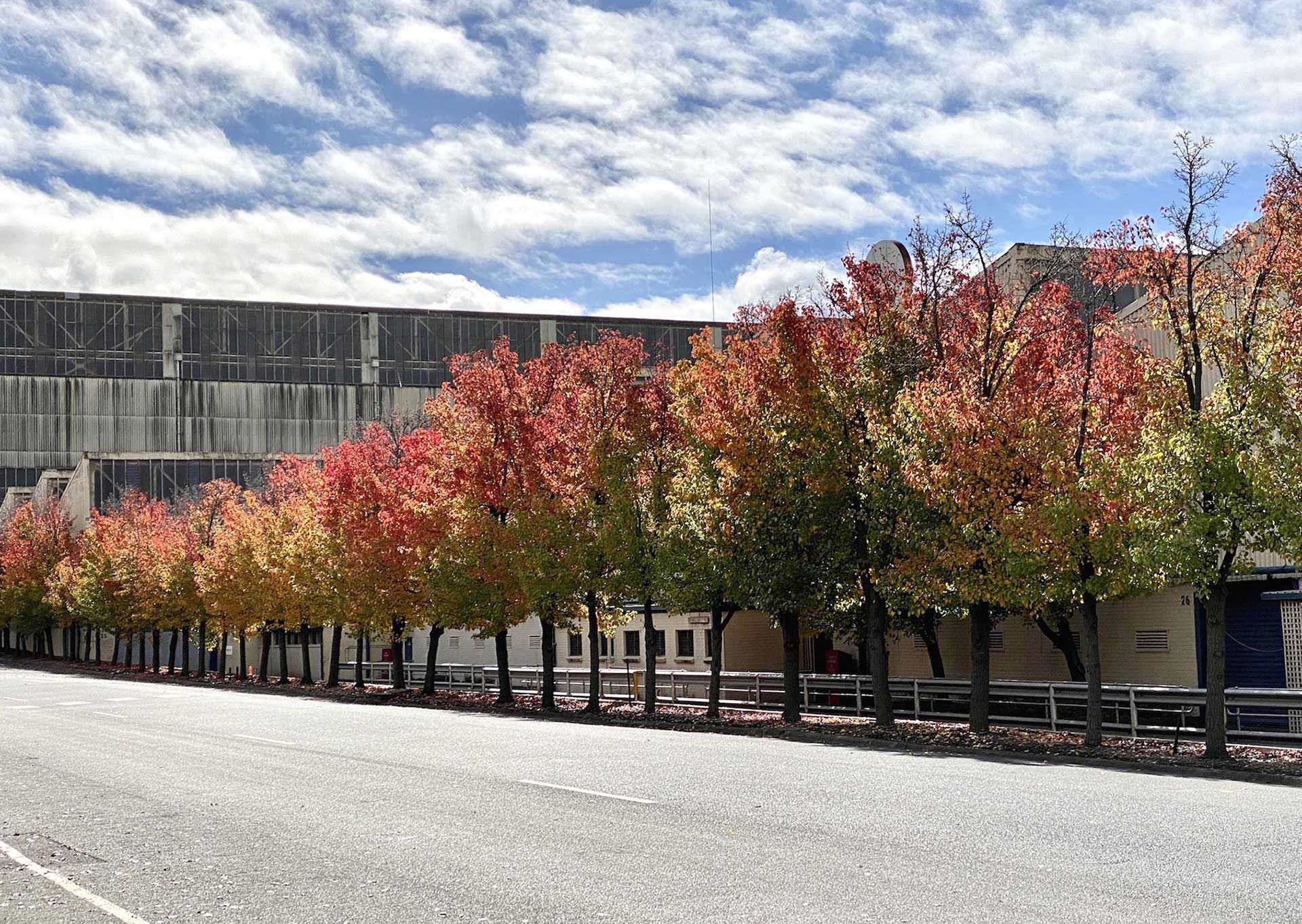 Goodman Property Services Warehouse Switchboard Installation Rewiring