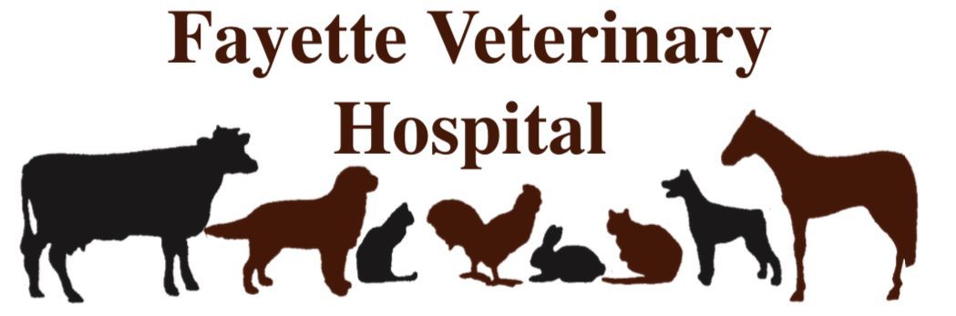 Fayette Veterinary Hospital Fayette Veterinary Hospital