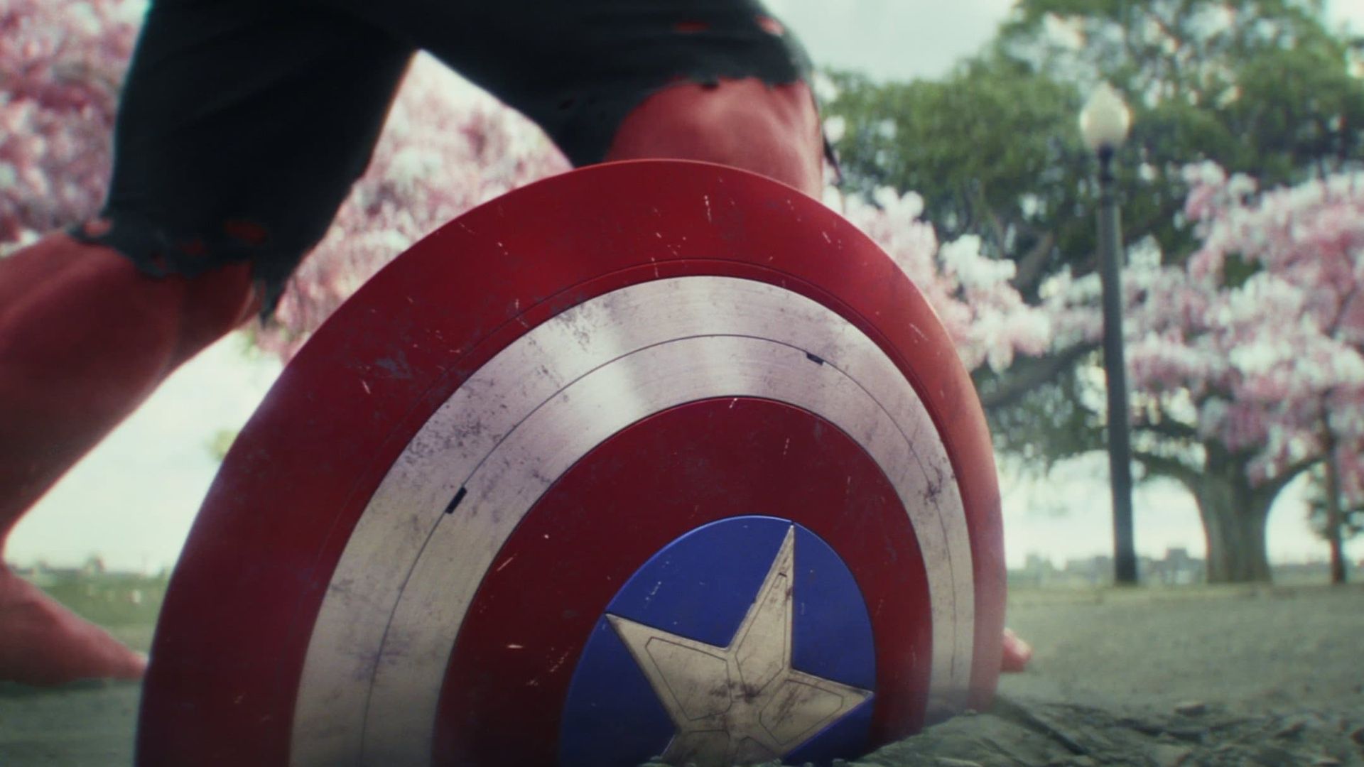 Person holding Captain America shield outdoors on a grassy field with trees in the background