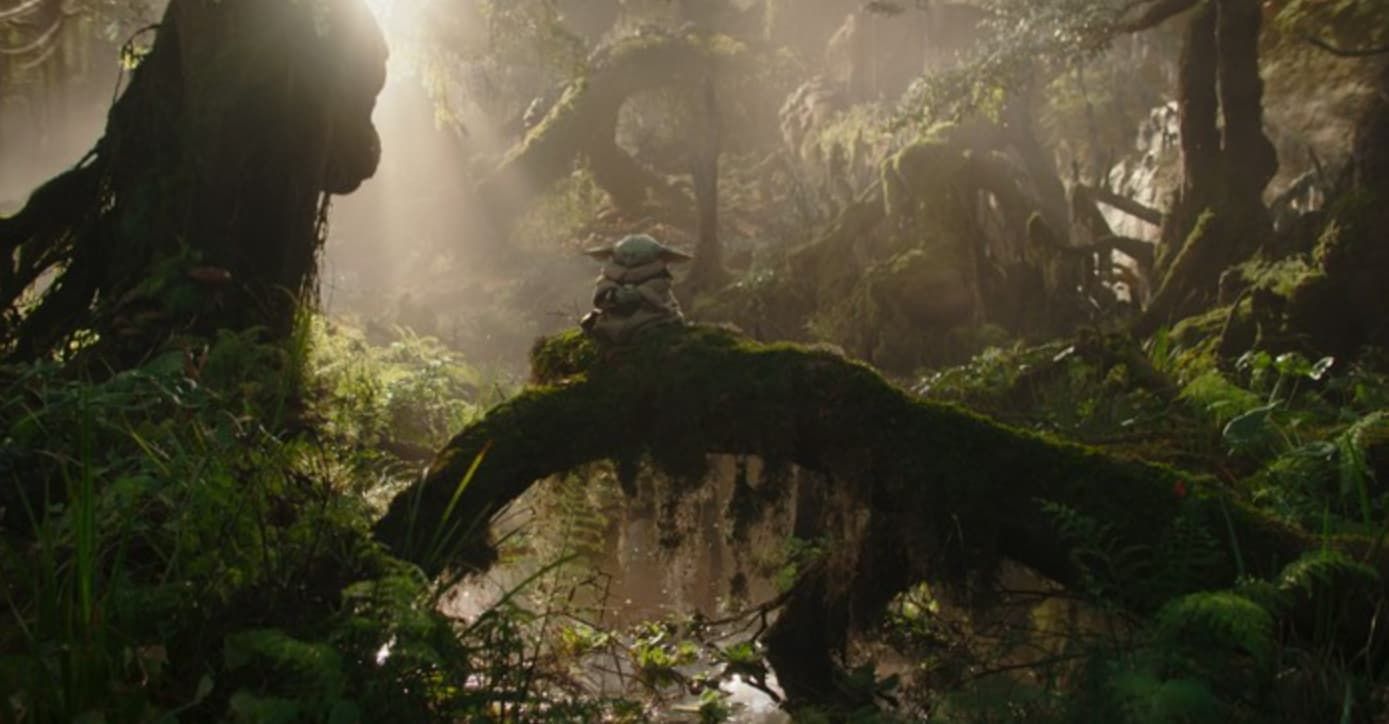 A lush jungle path with a large fallen tree, moss, and sunlight filtering through dense foliage.