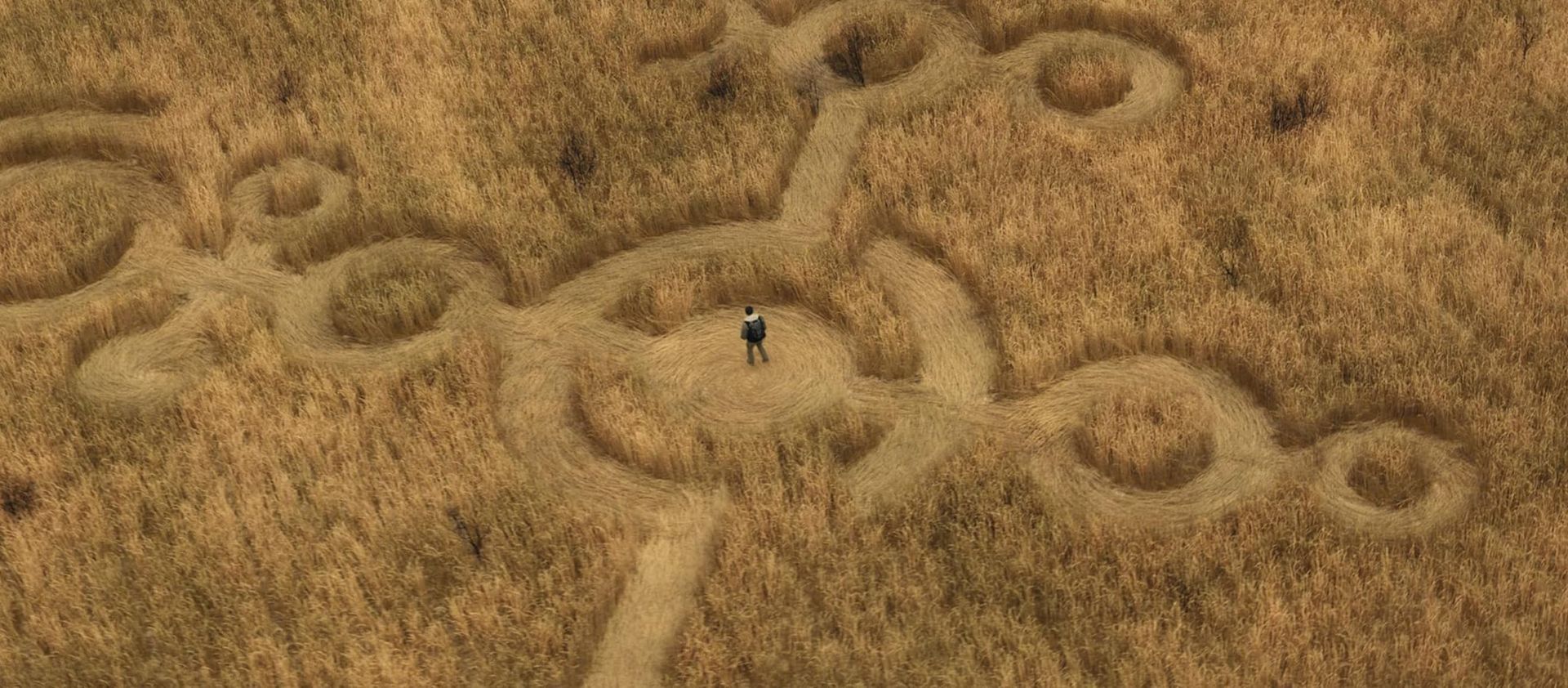 Person standing in a field of circular hay bales under a golden sky