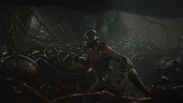 Ant-Man runs through giant ant colony