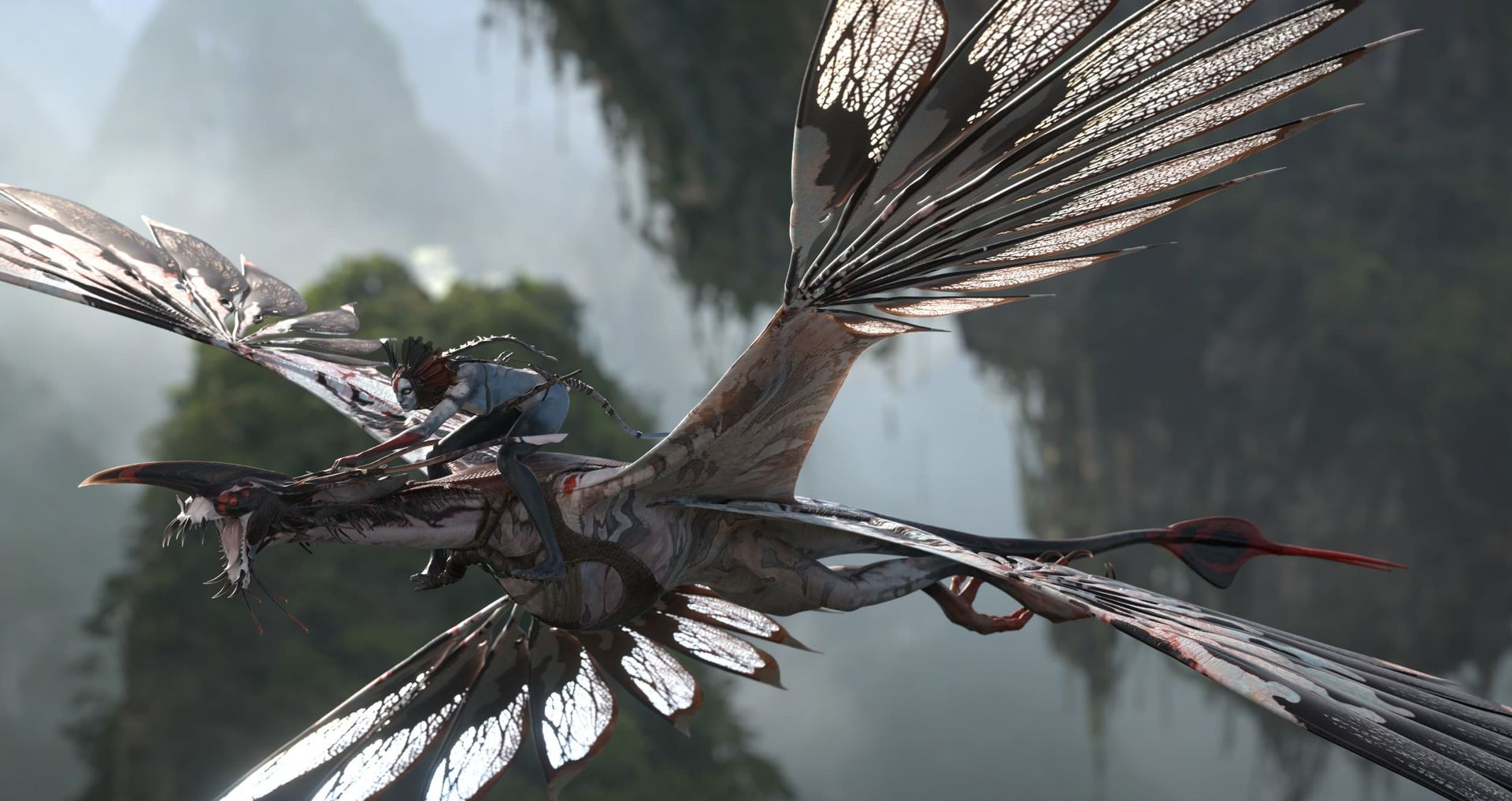 A dragon-like creature flies through a misty mountain sky with outstretched wings and a rider on its back