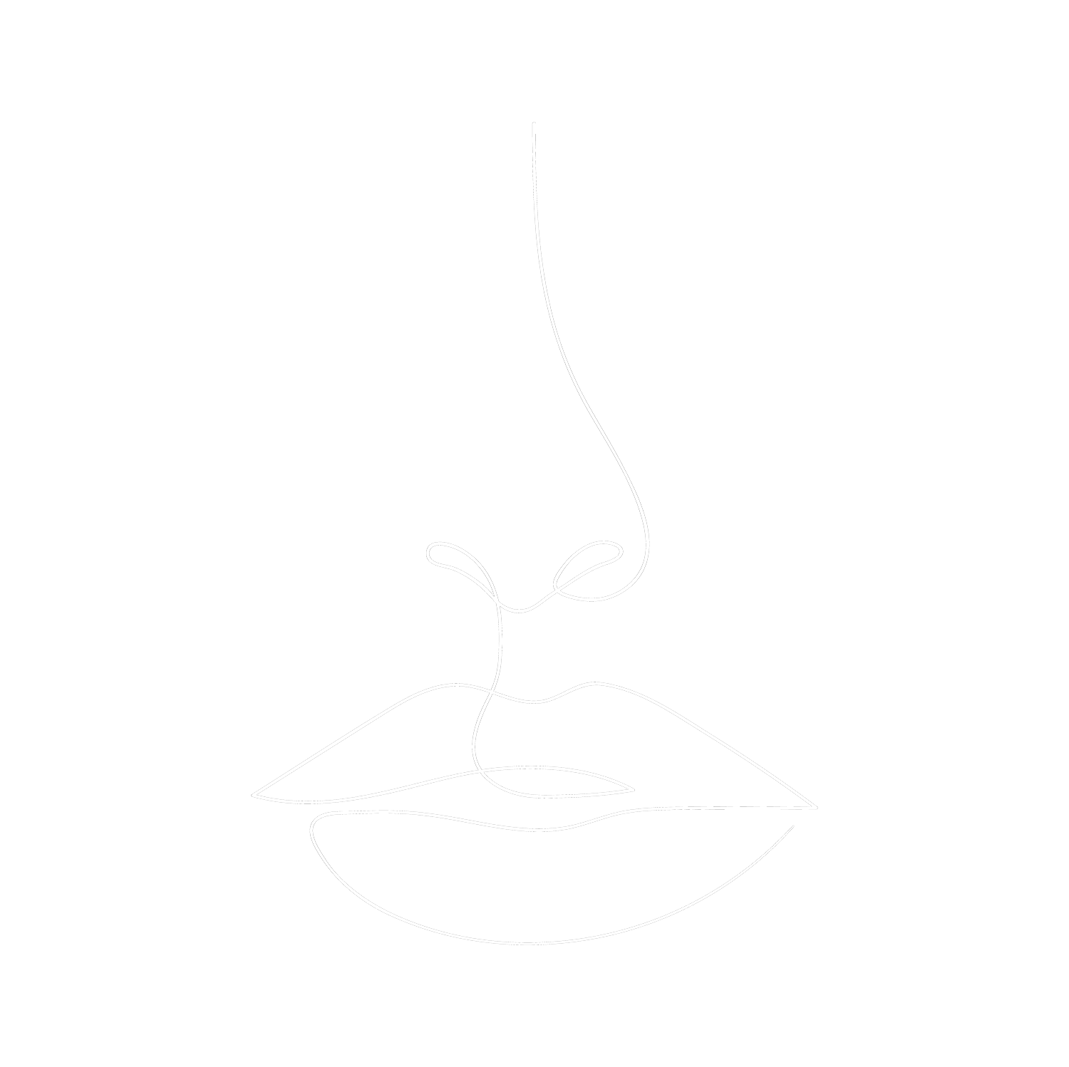 Illustration Nase und Mund