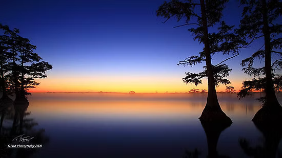 Sunset over a misty lake with silhouetted trees and a glowing orange horizon