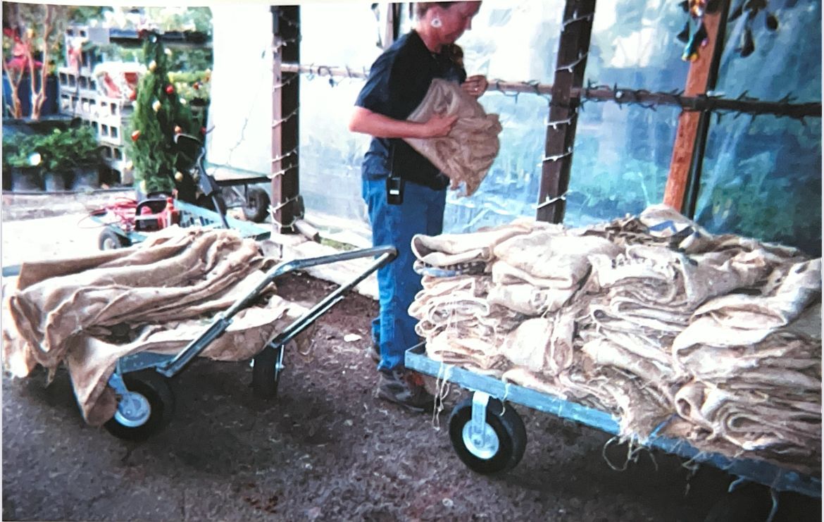 Man loading stacked fish onto two blue carts in a wet market setting