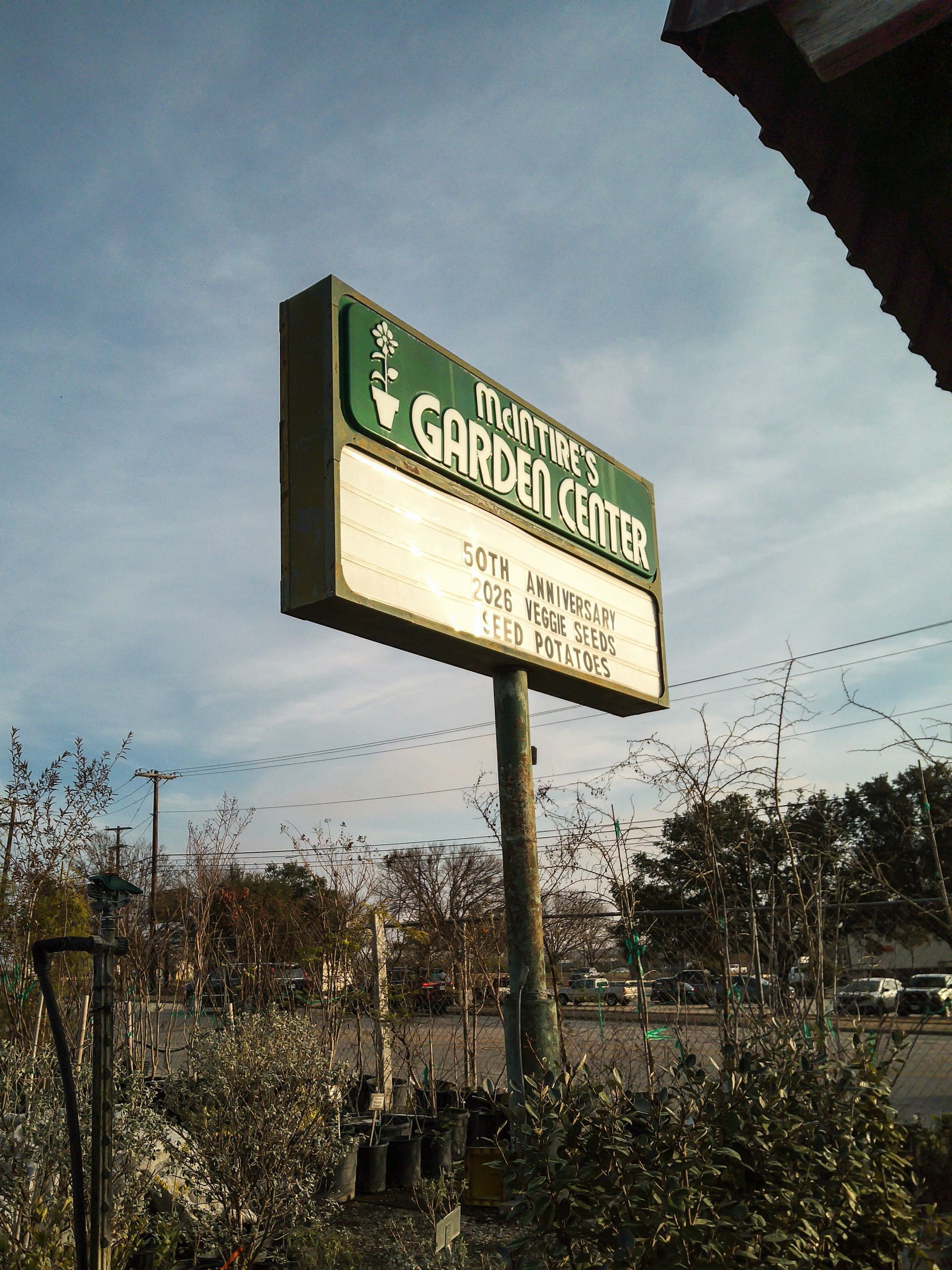 Green outdoor sign on a pole against the sky, with a white message panel and trees below
