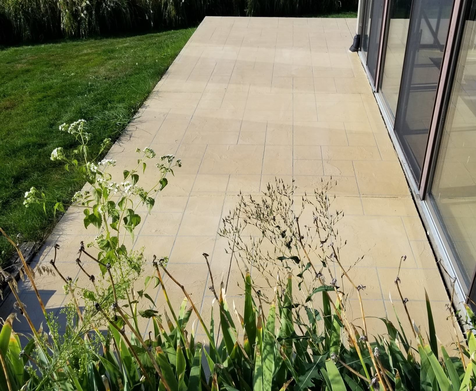 Beige patio beside a grassy lawn, with a glass building wall and some weeds in the foreground