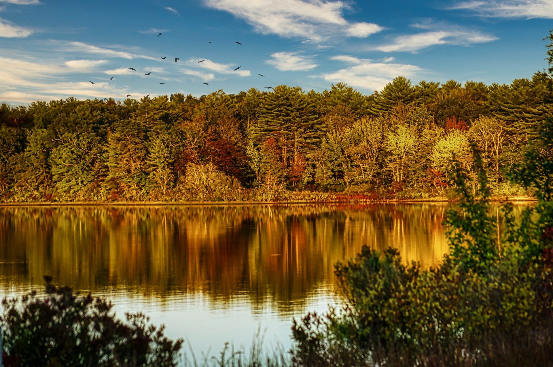 Autumn trees reflected in a calm lake beneath a blue sky with scattered clouds
