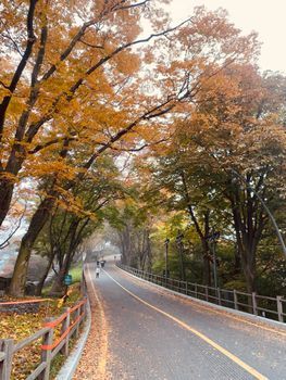 Hongdae, Seoul