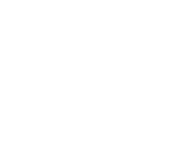 Shield Icon | Wallace Automotive
