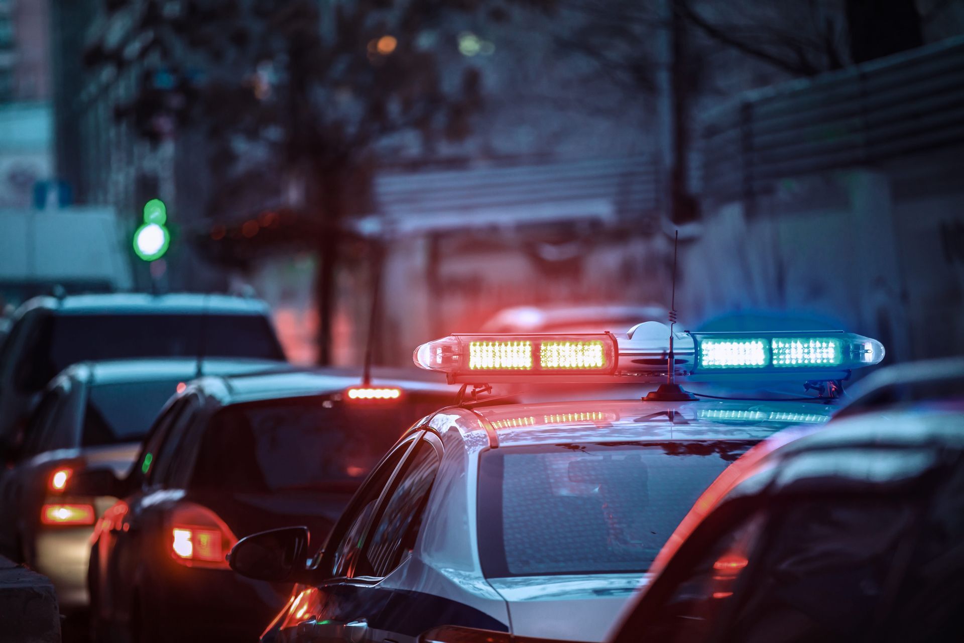 Police cars with flashing red and blue lights line a dark street at dusk.
