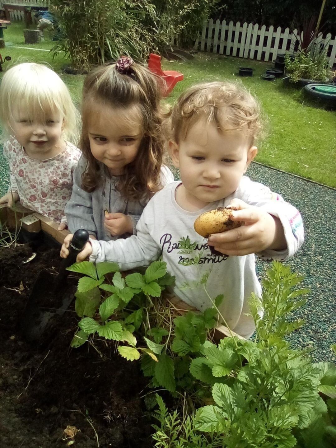 Three young children in a garden, one holding a potato, looking at it. Plants and soil in the foreground.