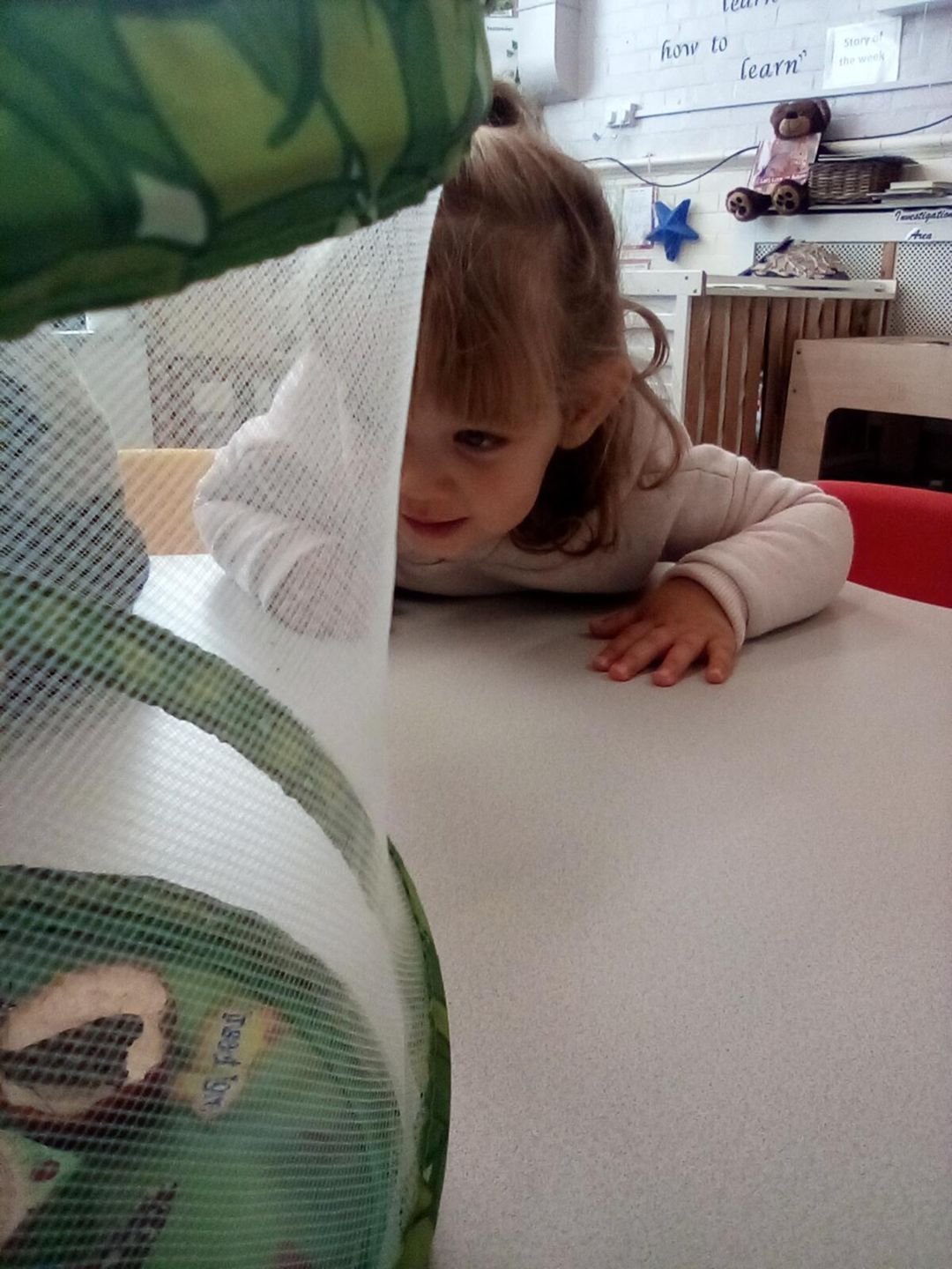 Young child peers over a table, partially hidden by a net, with a curious expression.