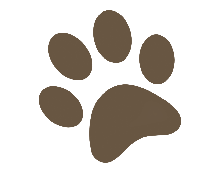 Brown paw print.