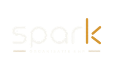 Minimalistisch wit logo met de tekst "spark" in lichtgrijs en goud, met een gestileerde gouden K aan de rechterkant.