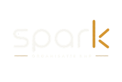 Minimalistisch wit logo met de tekst "spark" in lichtgrijs en goud, met een gestileerde gouden K aan de rechterkant.