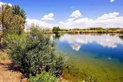 Mobile Detailing-a large body of water surrounded by trees and bushes on a sunny day .