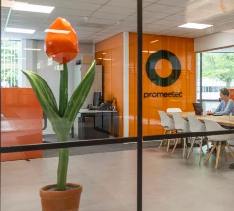 Polyester XL Tulp