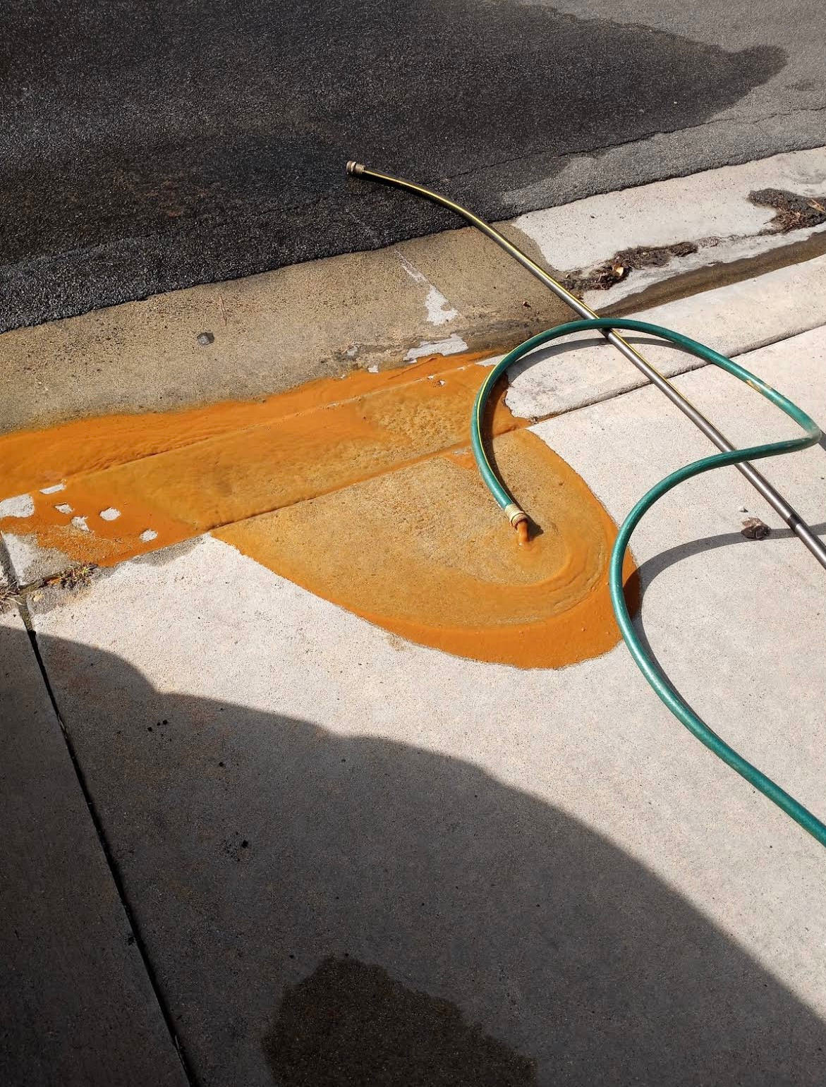 Orange spill on curb and sidewalk with a green hose lying across it.