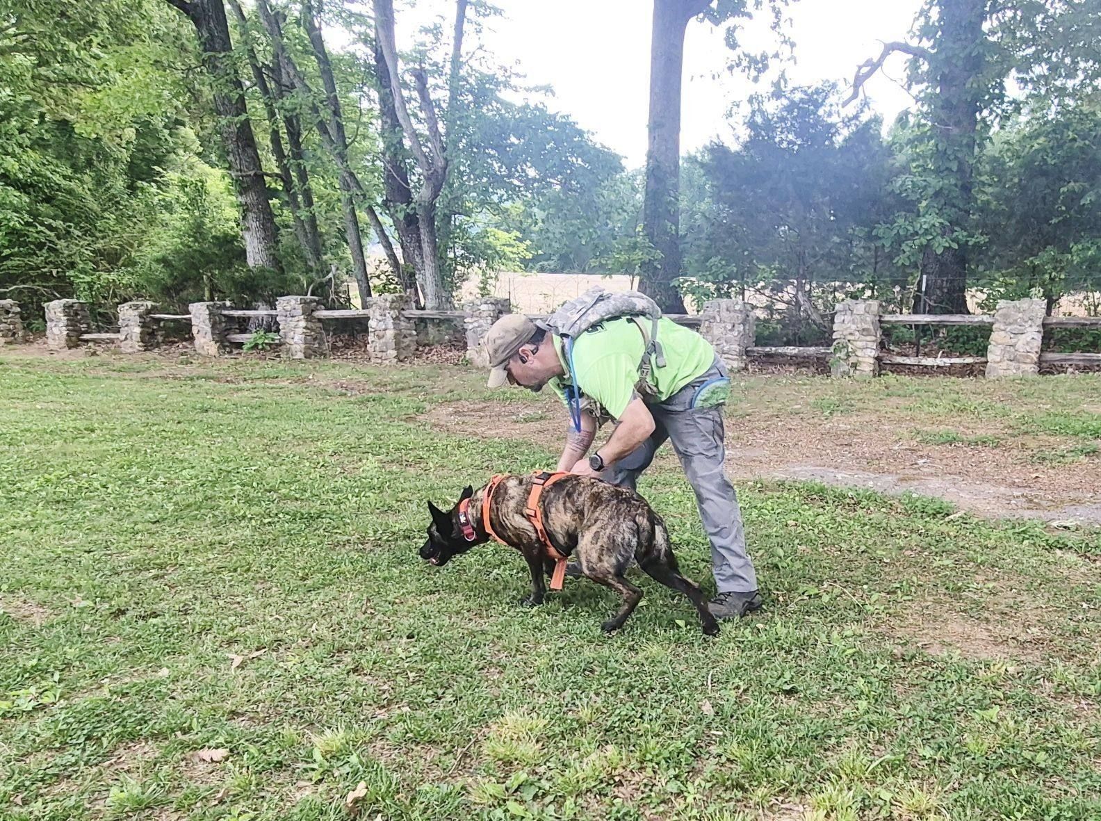 Bellum wearing a tracking harness outdoors at Sharon Johnston Park in New Market