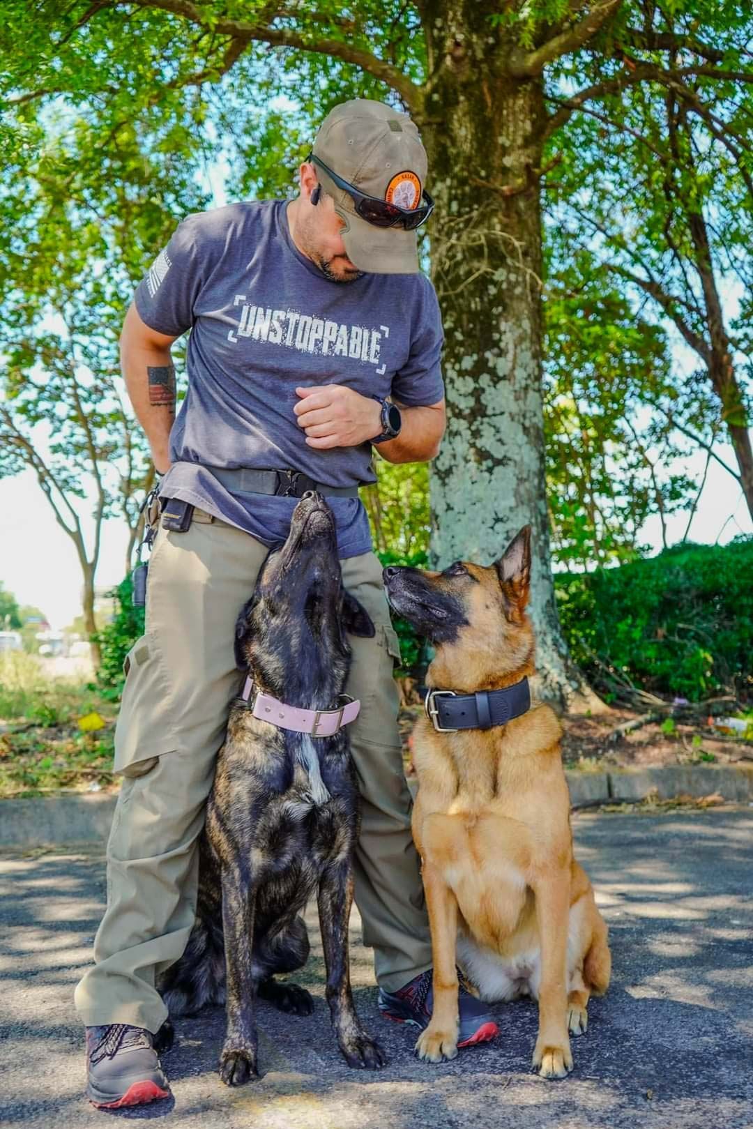 Man with two trained dogs outdoors; one looking up, one sitting; man in gray shirt and khaki pants.
