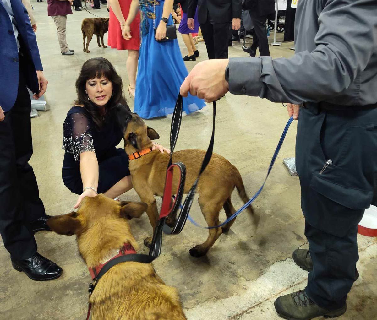Woman petting two dogs on leashes; people in formal attire in background.