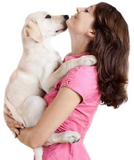 Veterinaria en Mexicali