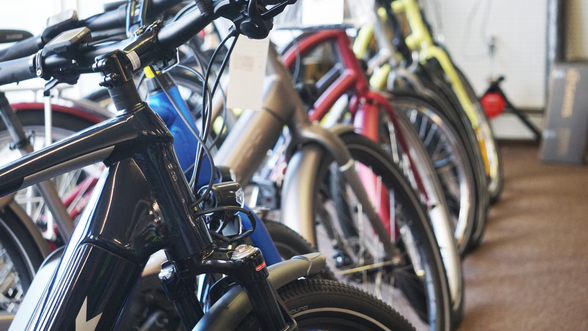 Bikes- Lancaster Bicycle Shop