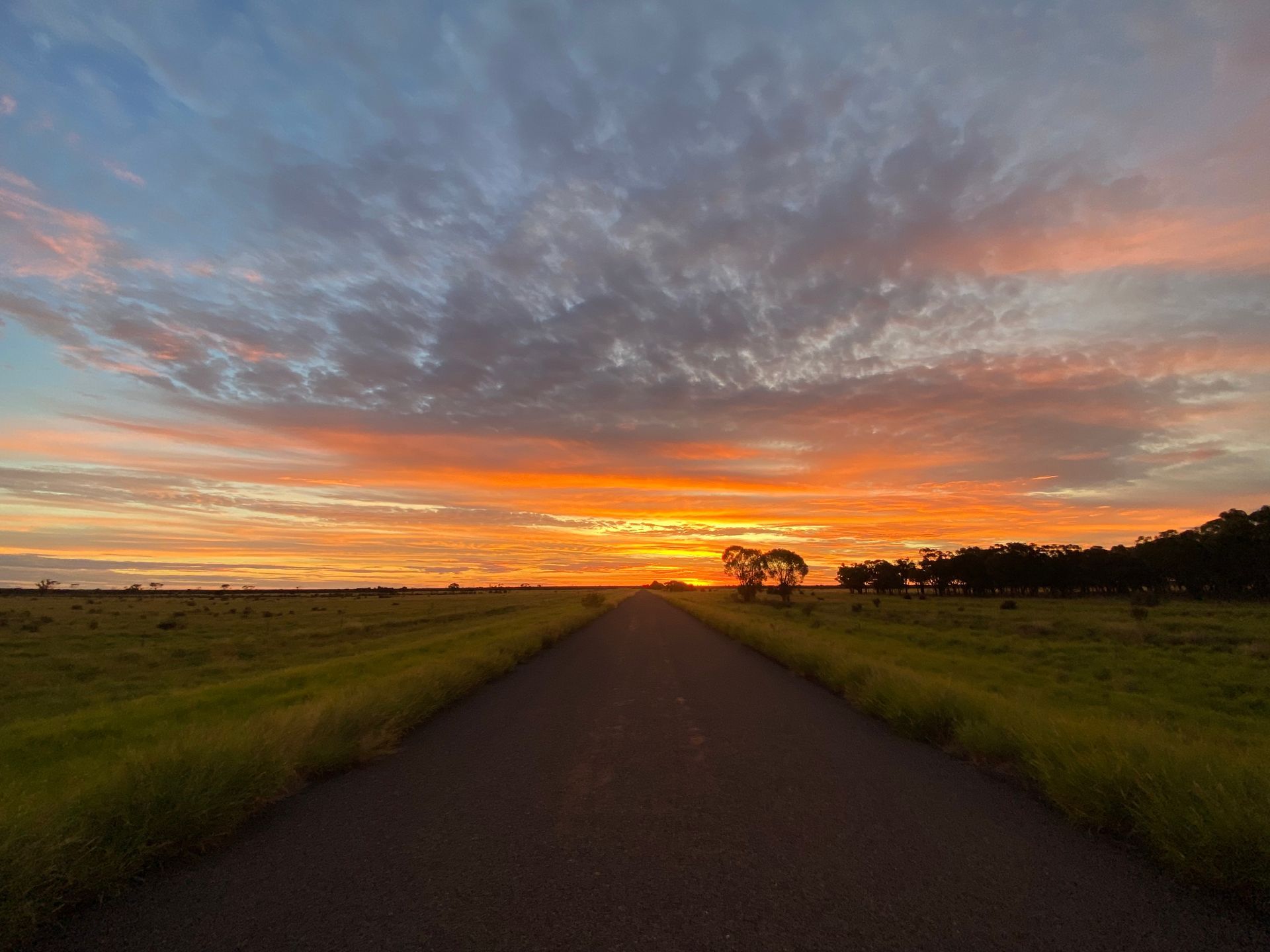 A road going through a field with a sunset in the background.
