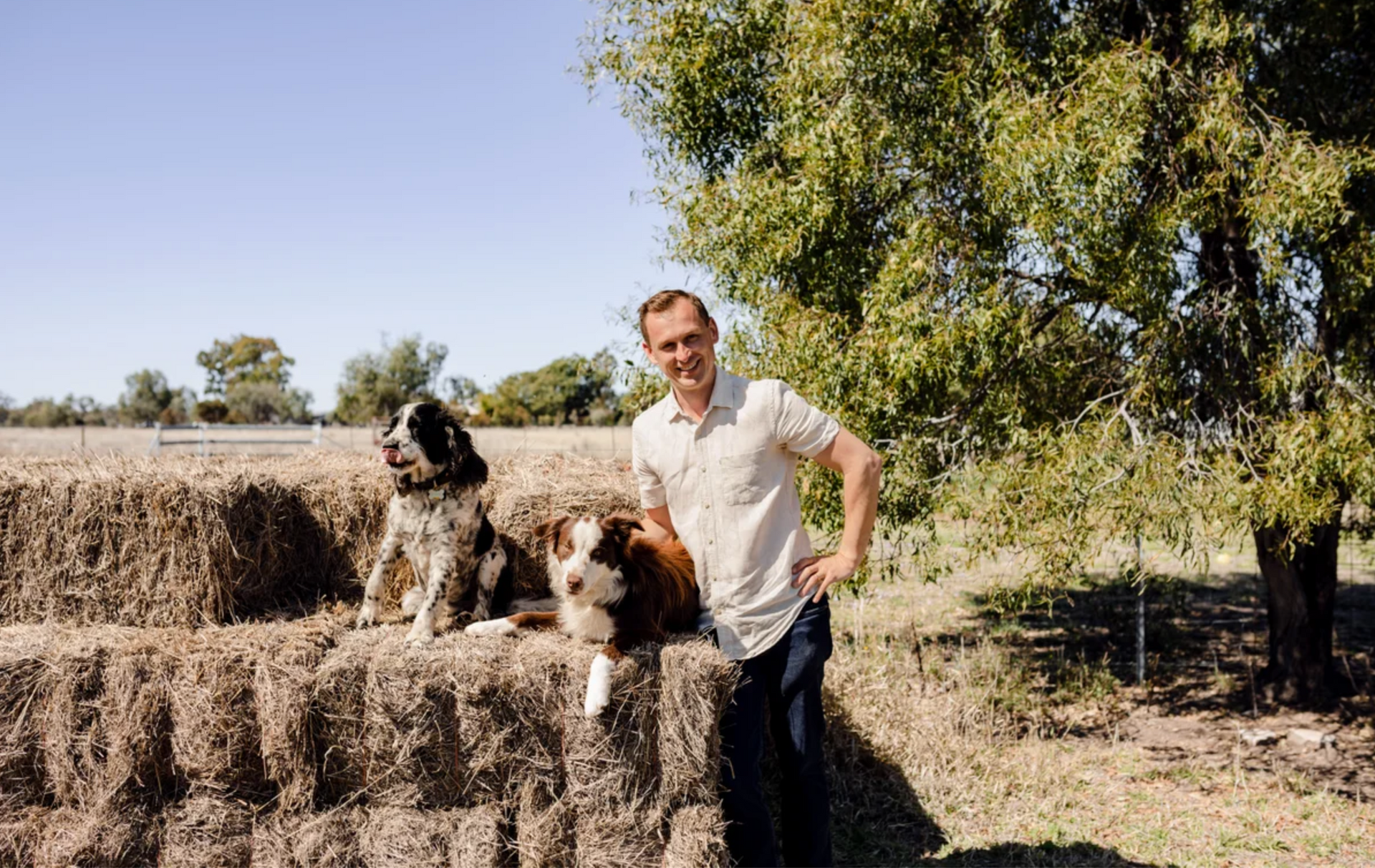 A man and two dogs are standing next to bales of hay.