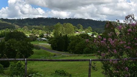 A Fence With Trees and a Mountain in the Background — Hennig Electrical Services in Nambour, QLD