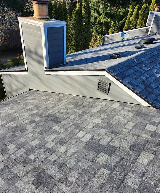 Gray shingle roof with dormer, chimney, and blue siding on a house surrounded by trees