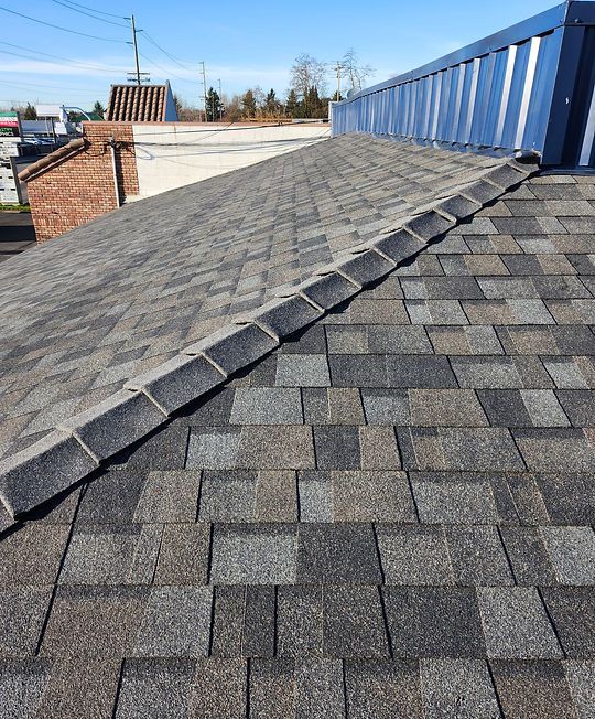 Rooftop with gray asphalt shingles and a row of blue metal panels along the right edge.