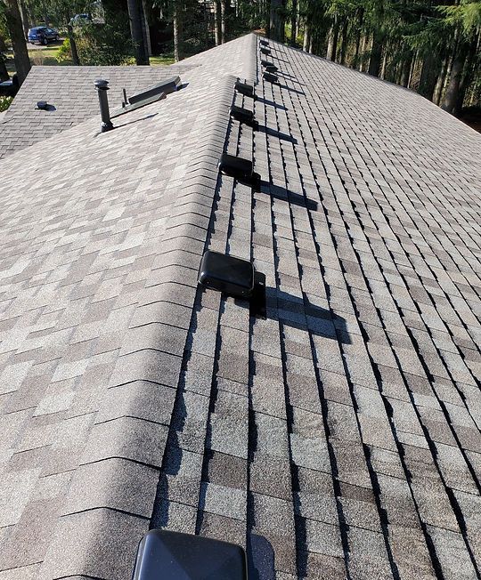 Gray shingled rooftop with several metal vents and a ridge line in sunlight