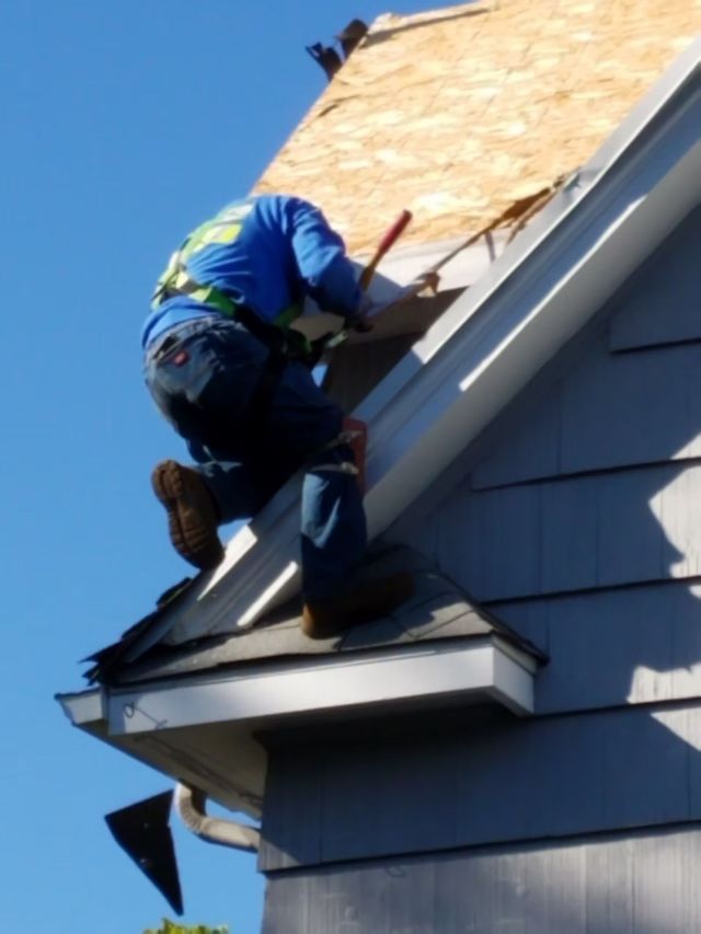 Worker installing shingles on a house roof with plywood exposed