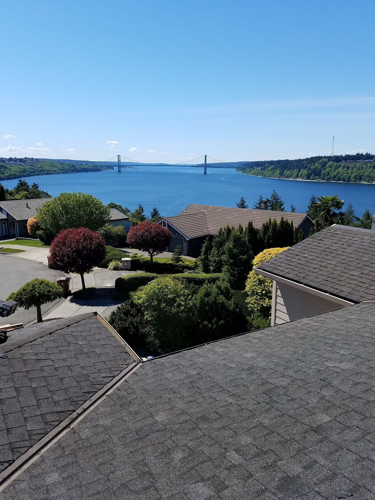 Sunlit bay with a long bridge, rooftops, and landscaped bushes under a clear blue sky.