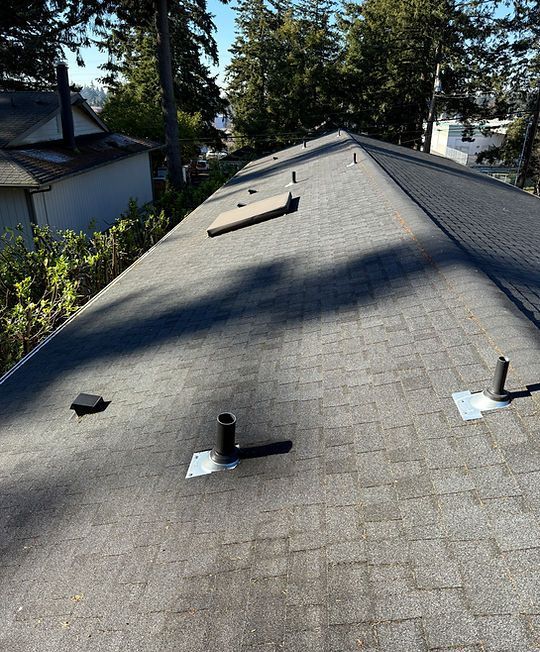 Gray shingle roof with vents and skylight in a wooded residential area