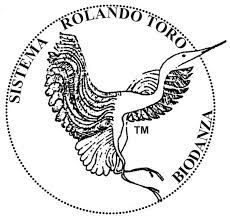 biodanza_met_ankie_leiden