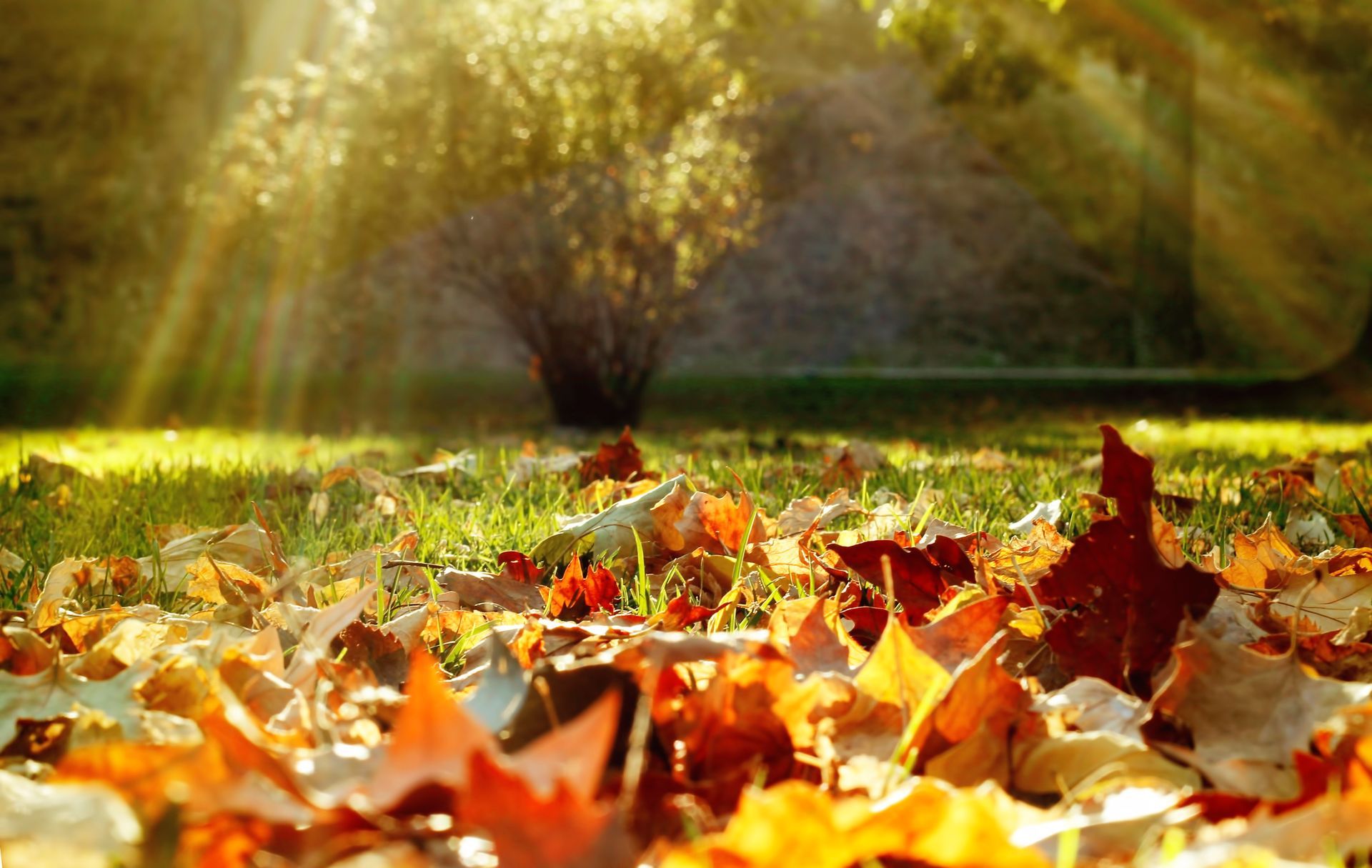 Autunno