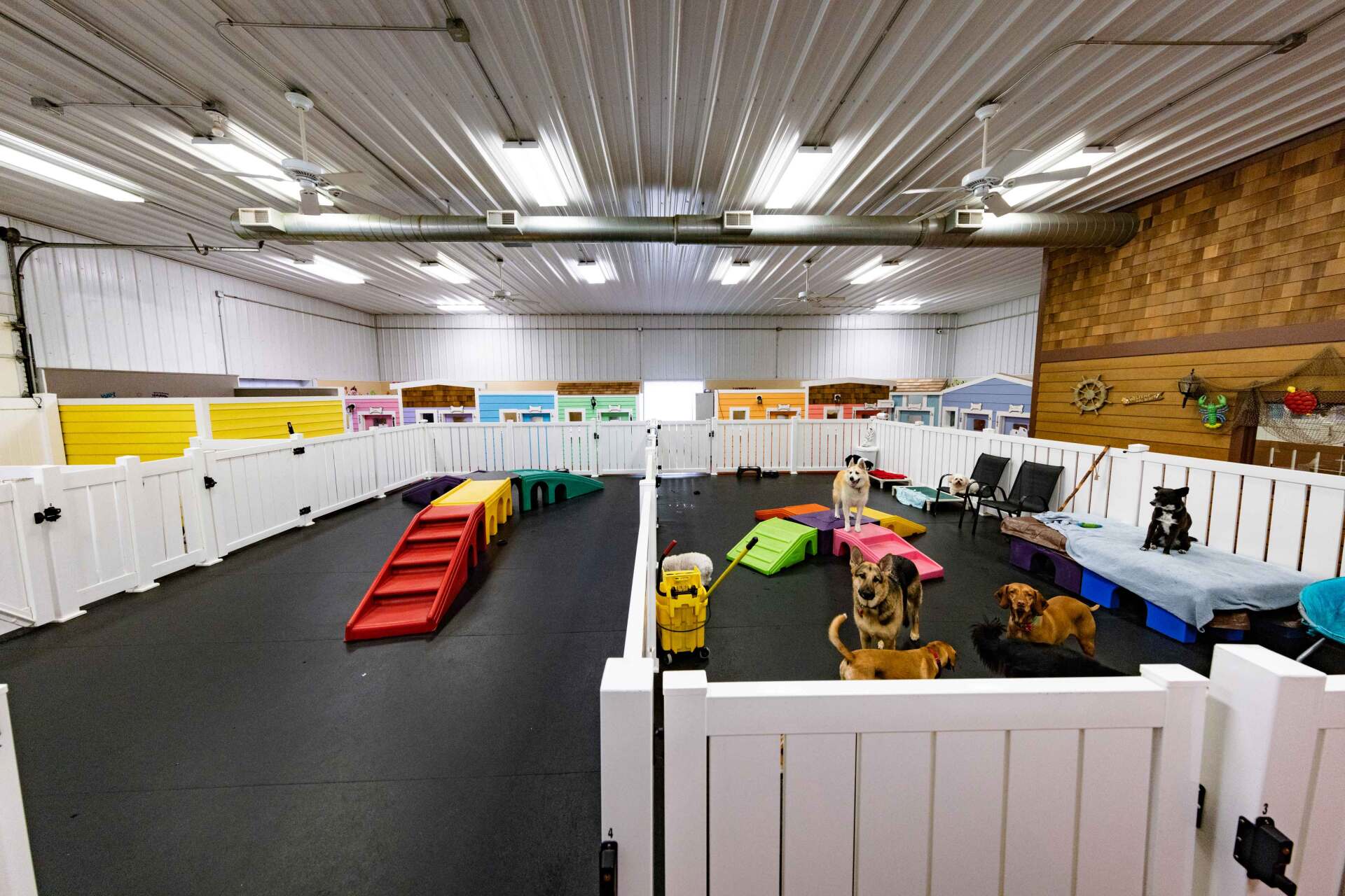 Dog boarding services near me At Your Bark N Call