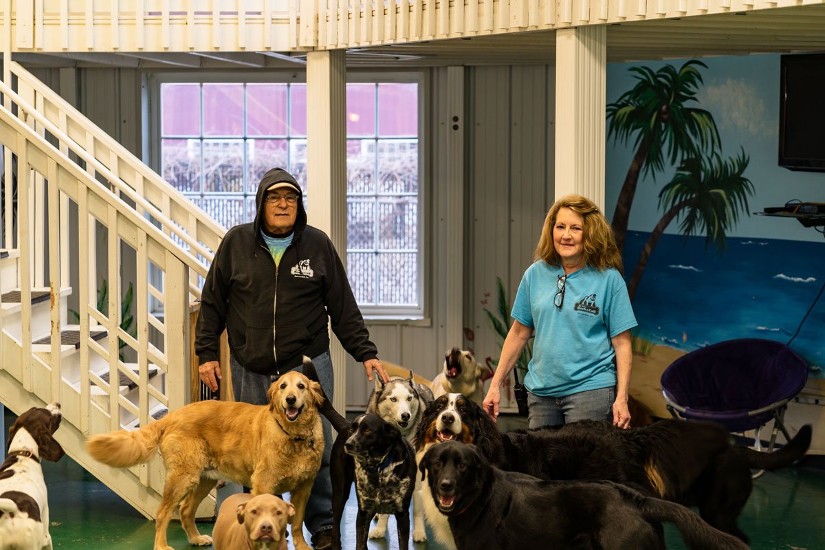 Dog boarding services near me At Your Bark N Call