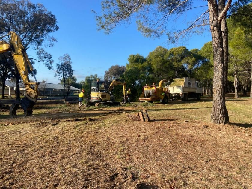 A Group of Construction Vehicles Are Parked in A Field — Mudgee Tree Services in Eurunderee, NSW